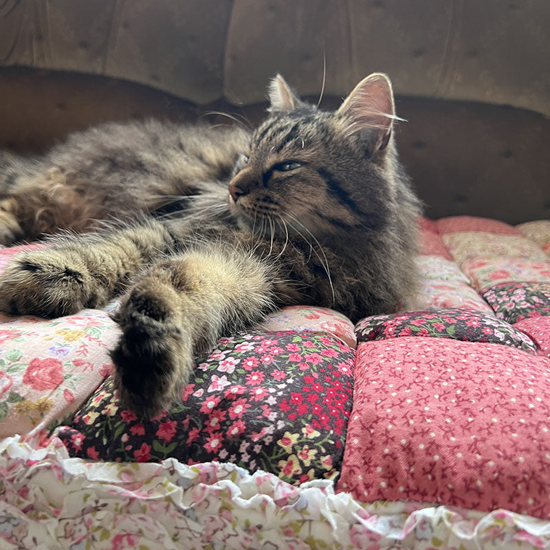 Párnázott kisállap kanapévédő matrac