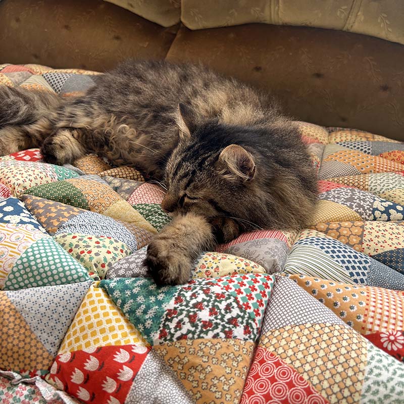 Párnázott kisállap kanapévédő matrac